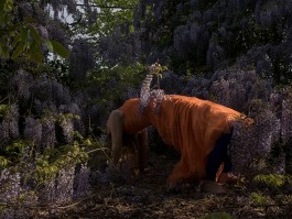 KIRSTEN BECKEN