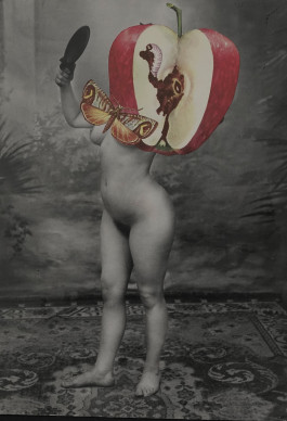 KIRSTEN BECKEN