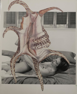 KIRSTEN BECKEN