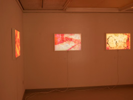 KIRSTEN BECKEN