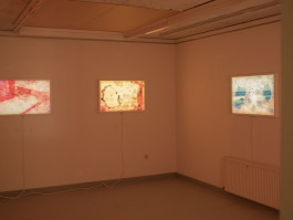 KIRSTEN BECKEN