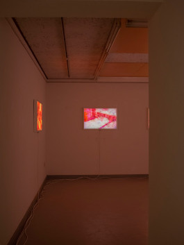 KIRSTEN BECKEN