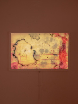 KIRSTEN BECKEN