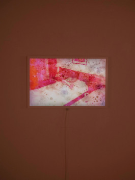KIRSTEN BECKEN