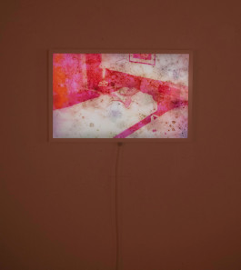 KIRSTEN BECKEN